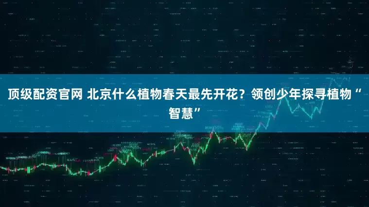 顶级配资官网 北京什么植物春天最先开花？领创少年探寻植物“智慧”