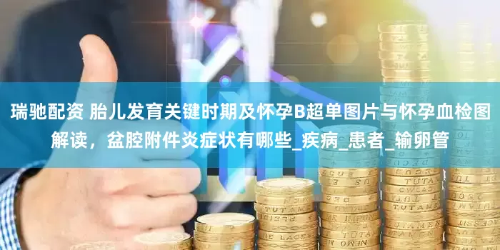瑞驰配资 胎儿发育关键时期及怀孕B超单图片与怀孕血检图解读，盆腔附件炎症状有哪些_疾病_患者_输卵管